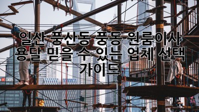 일산 풍산동 풍동 원룸이사 용달, 믿을 수 있는 업체 선택 가이드