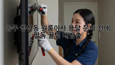 공주 쌍신동 원룸이사, 용달 문의 전에 필독! 꿀팁 대방출🍯
