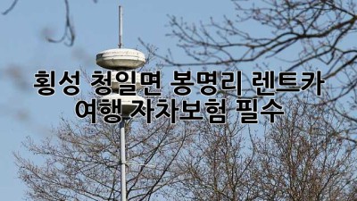 🚗 횡성 청일면 봉명리 렌트카 여행, 자차보험 필수?! 🏞️