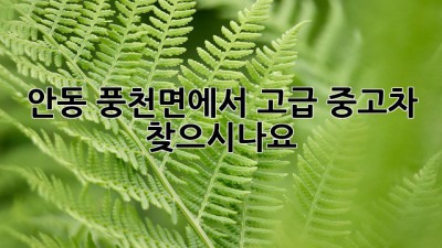 안동 풍천면에서 고급 중고차 찾으시나요?